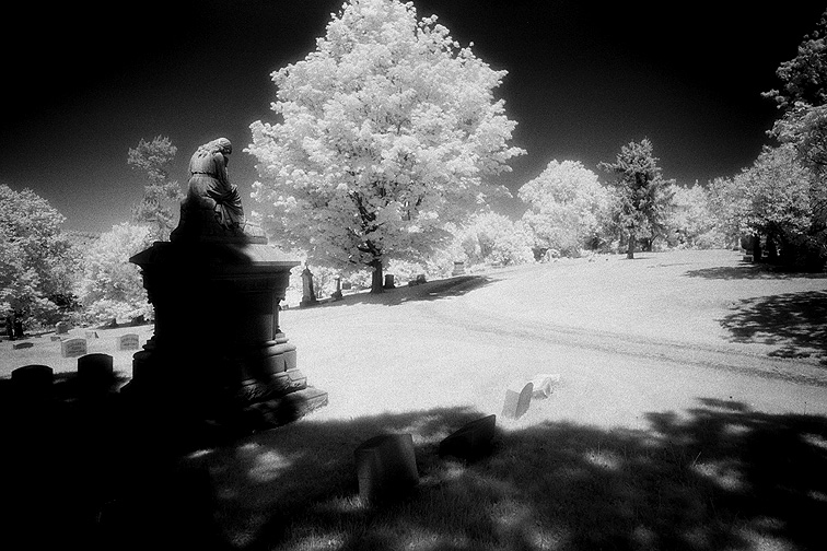 Oakwood - by chuckv