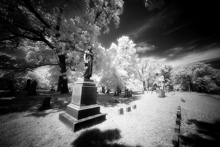 Oakwood - by chuckv