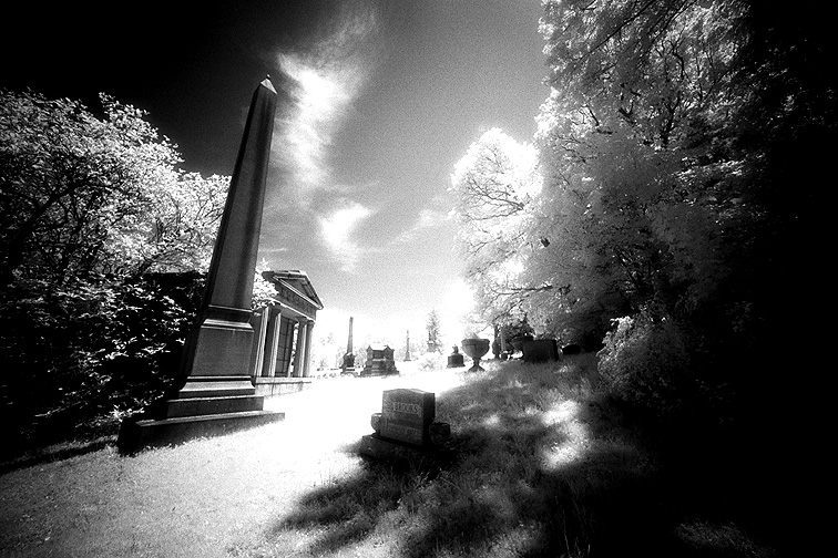 Oakwood - by chuckv