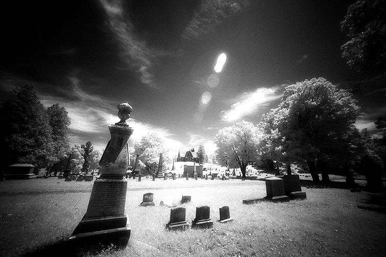 Oakwood - by chuckv
