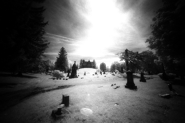 Oakwood - by chuckv