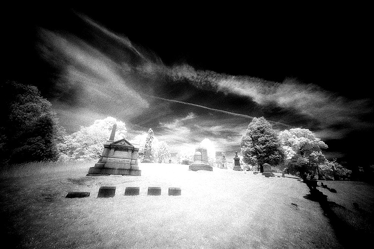 Oakwood - by chuckv