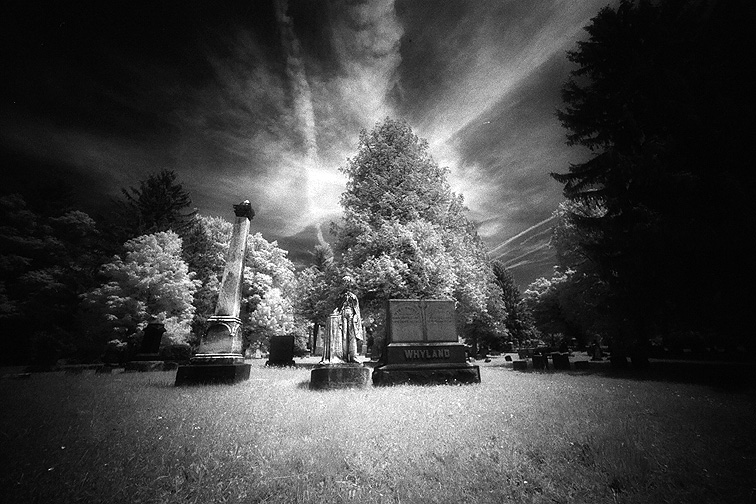 Oakwood - by chuckv