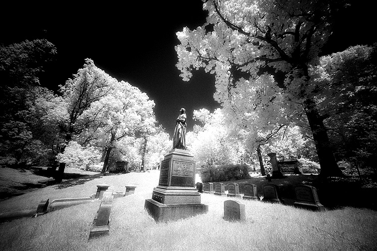 Oakwood - by chuckv