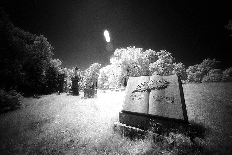Oakwood - by chuckv