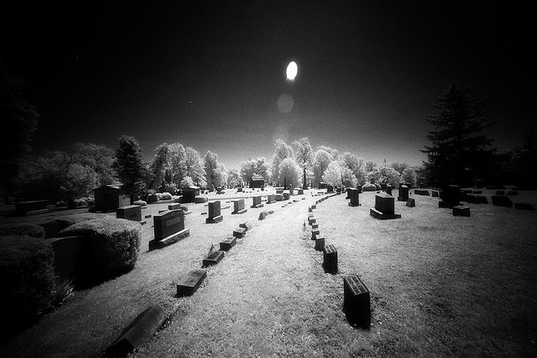 Oakwood - by chuckv