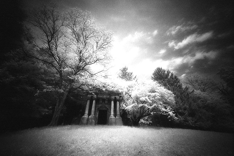 Oakwood - by chuckv
