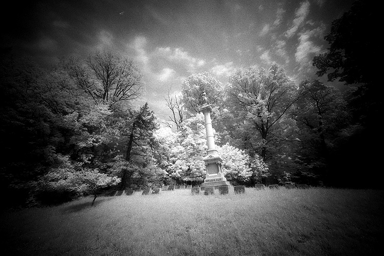 Oakwood - by chuckv