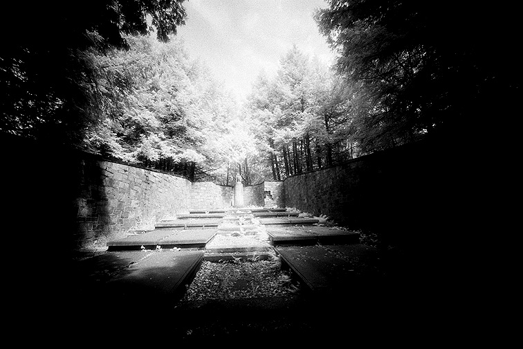 Oakwood - by chuckv