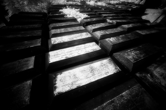 riverview - by chuckv