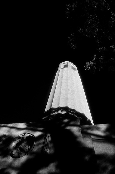 Coit Tower - by chuckv