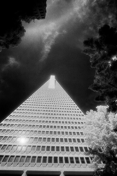 Transamerica Building - by chuckv