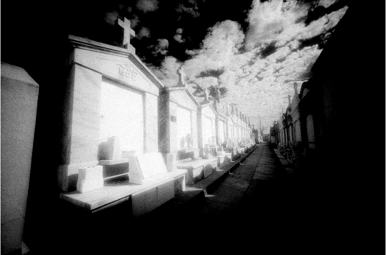 St. Roch - by chuckv