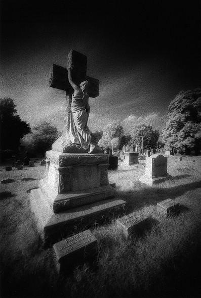 west laurel hill - by chuckv