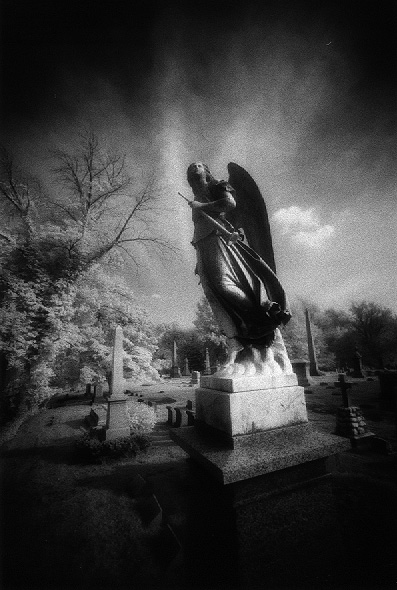 west laurel hill - by chuckv