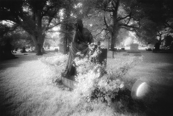 west laurel hill - by chuckv