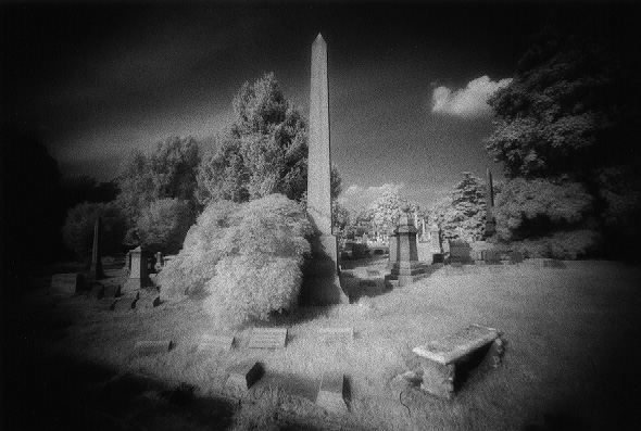 west laurel hill - by chuckv