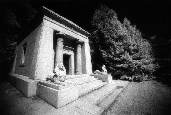 woodlawn - by chuckv