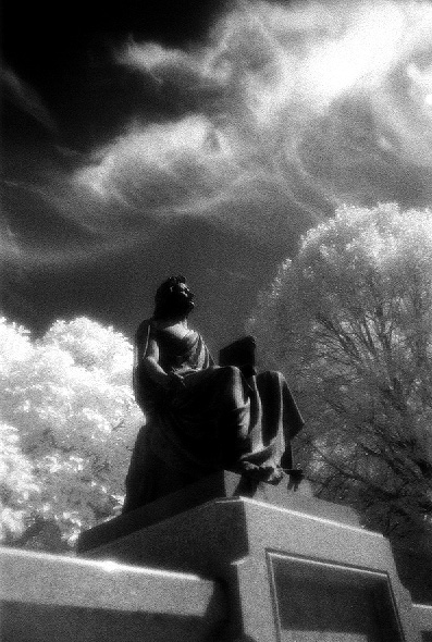 woodlawn - by chuckv
