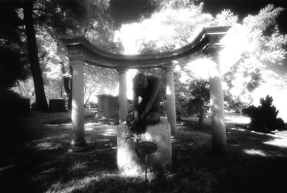 woodlawn - by chuckv
